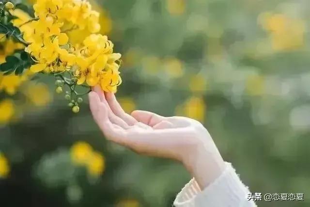 珍爱生命的意义唯美句子（关于珍爱生命的优美段落） 第3张