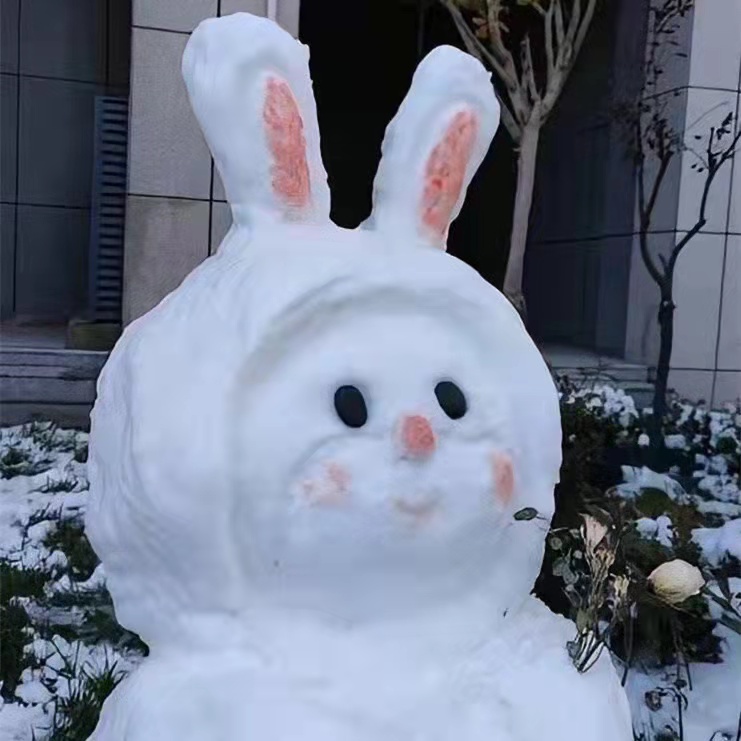 下雪天发朋友圈的句子（大雪文案短句干净） 第13张