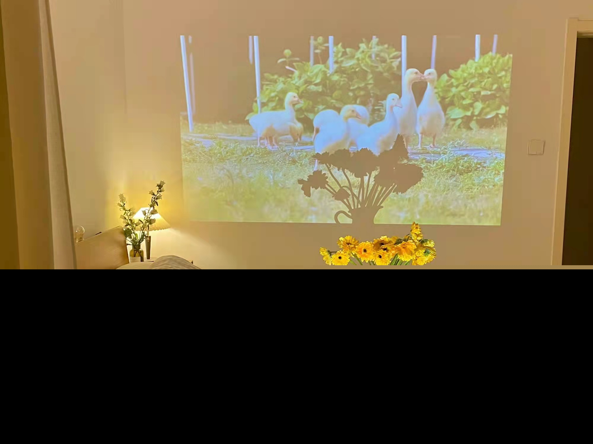 优美的句子大全（意境唯美的段落摘抄） 第5张