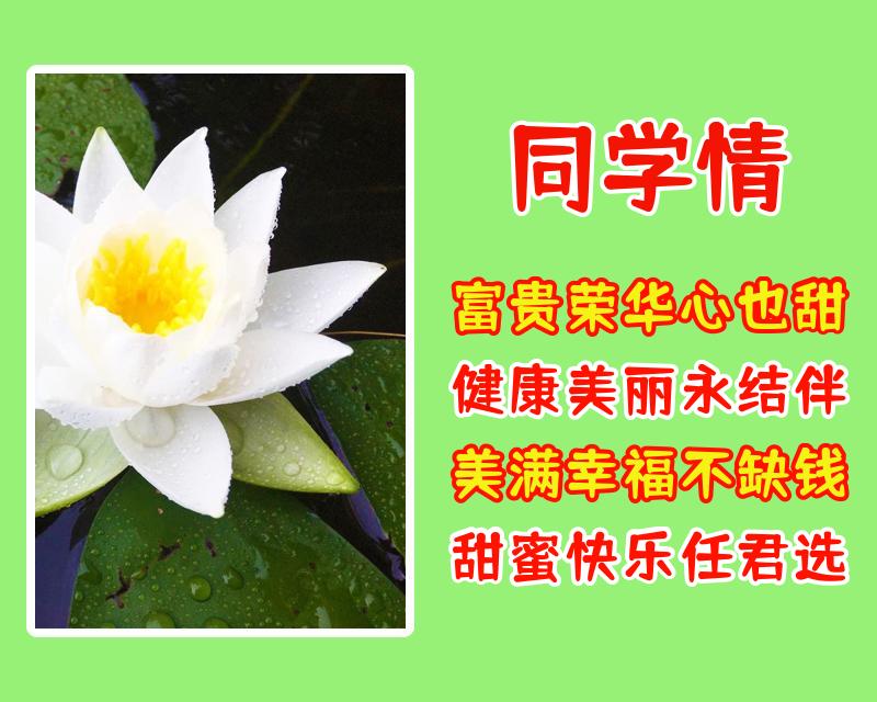 给同学的祝福语（写给同学的新年祝福语简短） 第3张