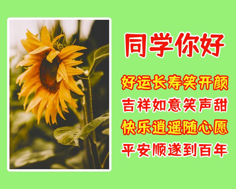 给同学的祝福语（写给同学的新年祝福语简短） 第5张