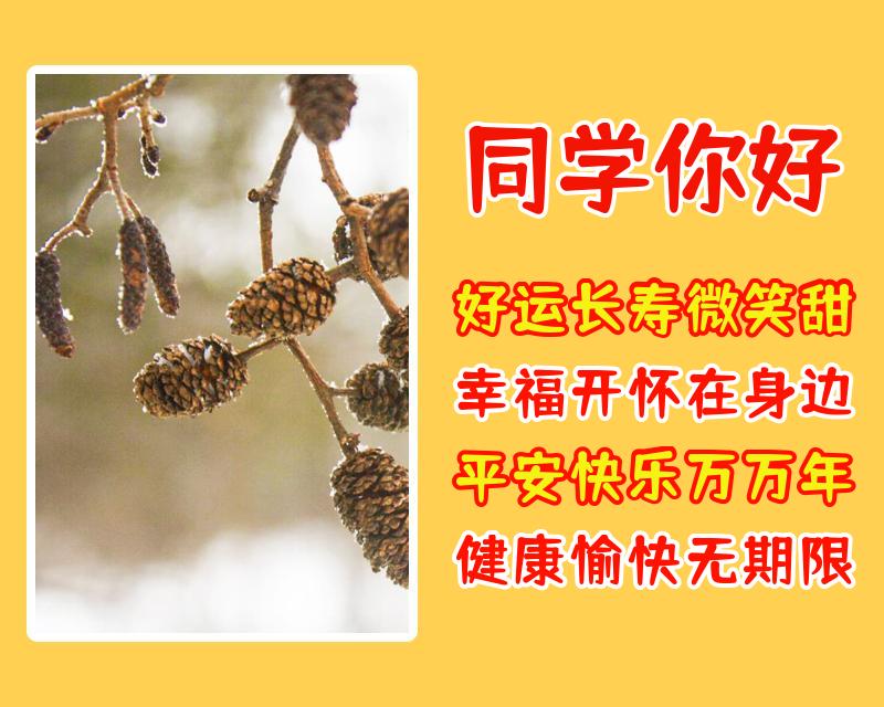 给同学的祝福语（写给同学的新年祝福语简短） 第7张