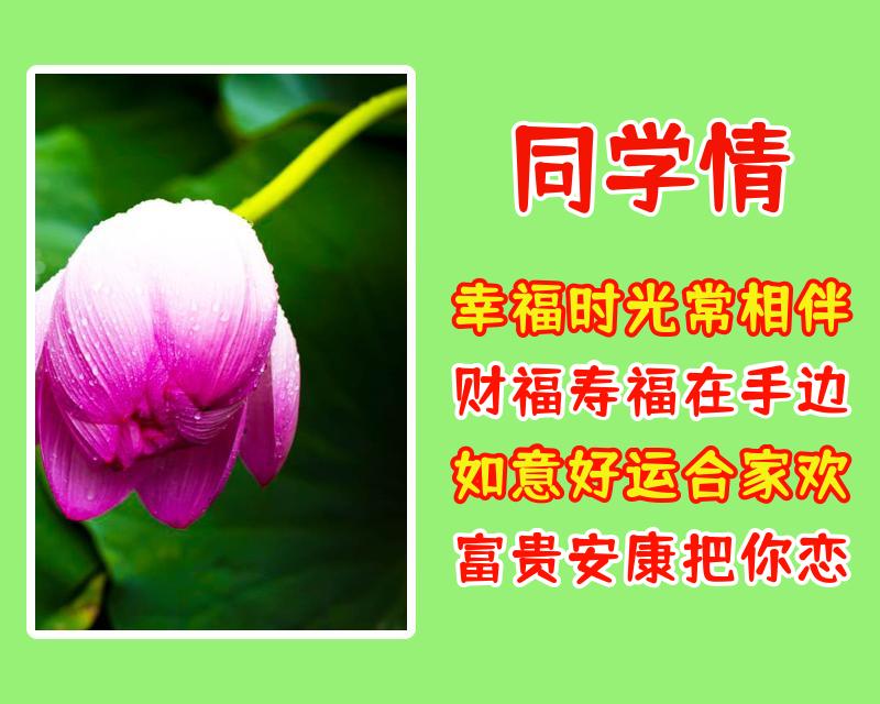 给同学的祝福语（写给同学的新年祝福语简短） 第9张