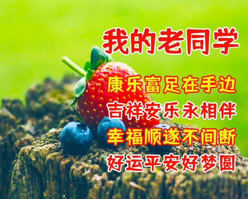 给同学的祝福语（写给同学的新年祝福语简短） 第13张