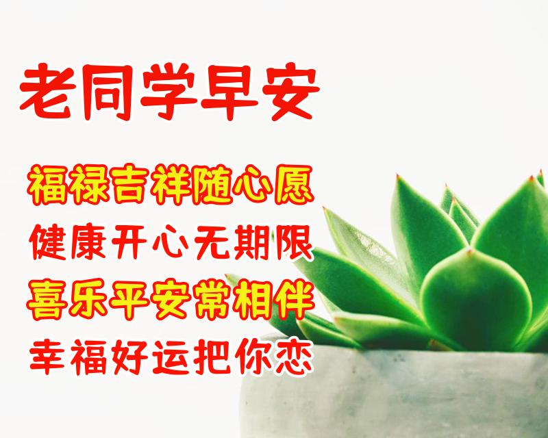 给同学的祝福语（写给同学的新年祝福语简短） 第15张