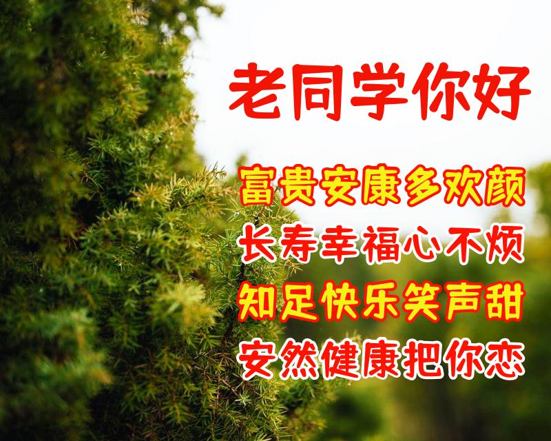 给同学的祝福语（写给同学的新年祝福语简短） 第17张