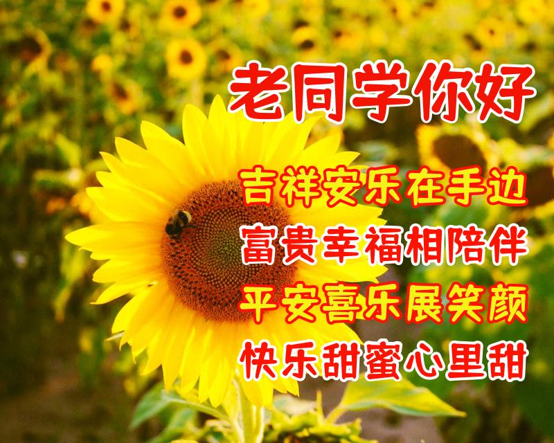 给同学的祝福语（写给同学的新年祝福语简短） 第19张