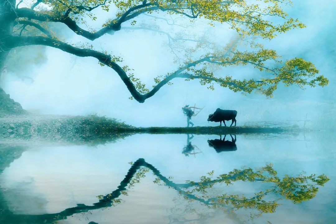 山水风光的古诗词有哪些（描写风景的古诗词欣赏） 第1张