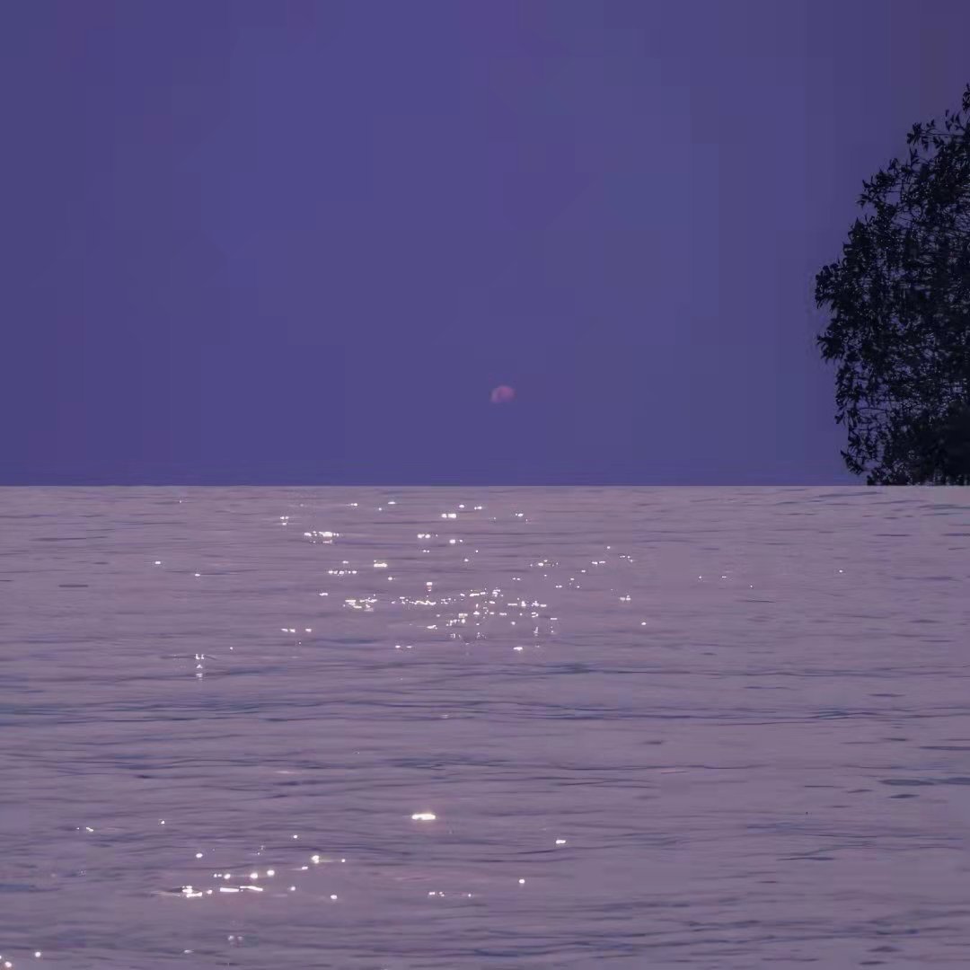时光飞逝的短句唯美（感叹时光流逝的句子） 第9张