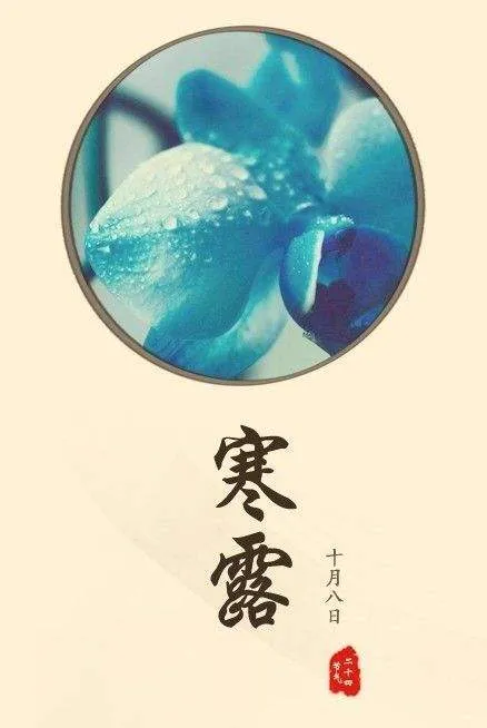 寒露问候语（寒露祝福语大全简短） 第7张