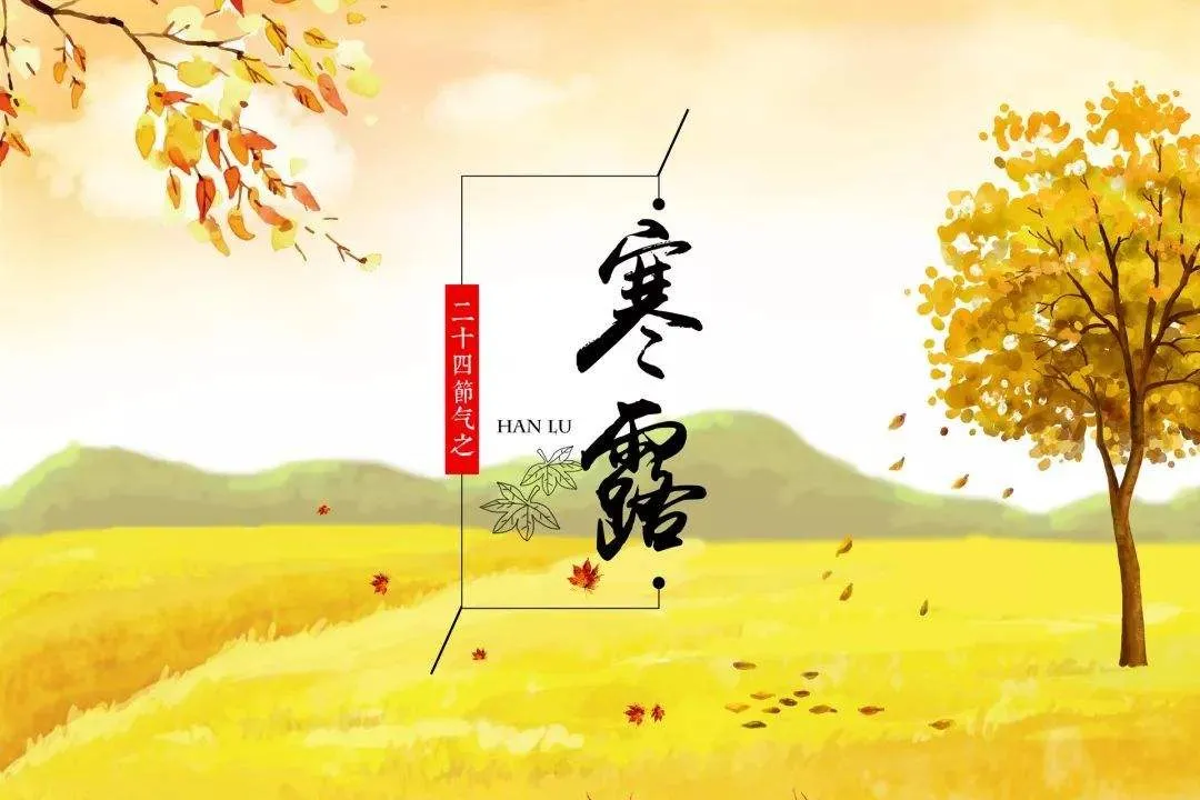 寒露问候语（寒露祝福语大全简短） 第11张