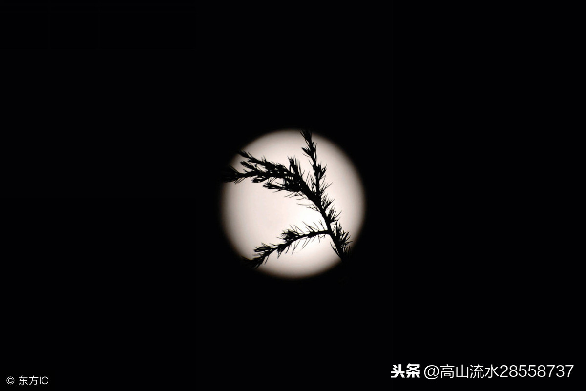 阳关曲中秋月苏轼翻译（阳关曲中秋月古诗赏析） 第1张