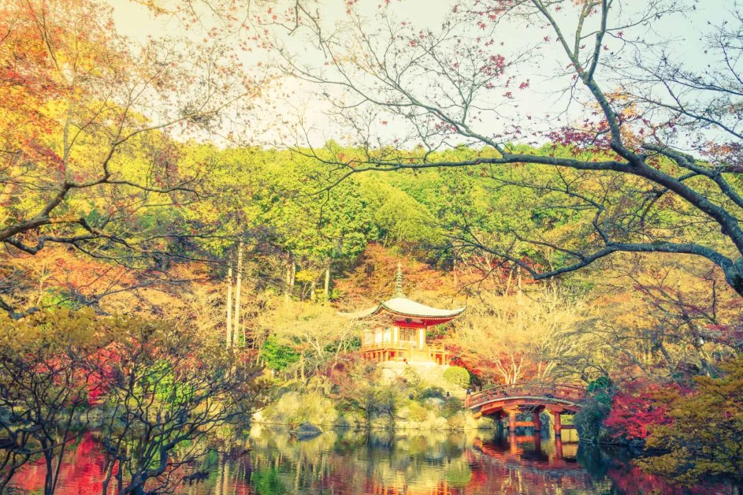 形容温暖唯美句子（形容温馨又温暖的成语欣赏） 第11张