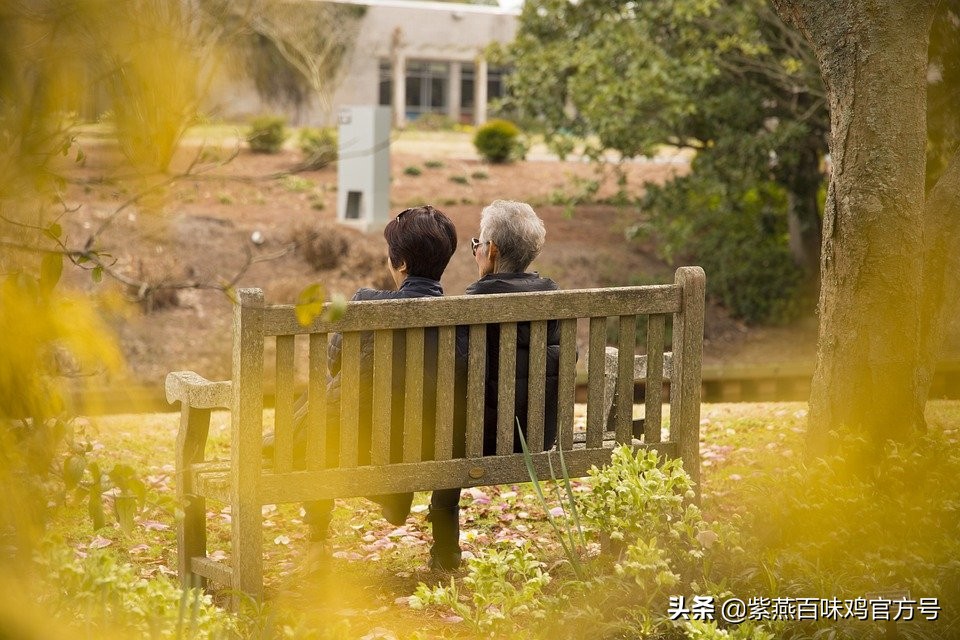 重阳节餐饮文案(重阳节餐厅活动文案) 第1张