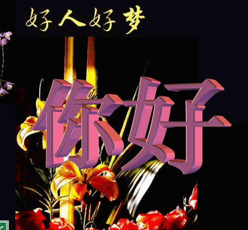 描写向日葵的句子（描写向日葵的优美语句） 第17张