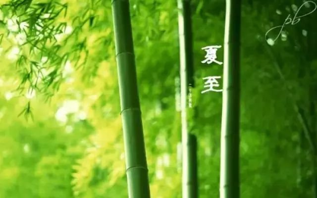 描写夏至的唯美诗句（关于夏至的优美诗句欣赏） 第5张