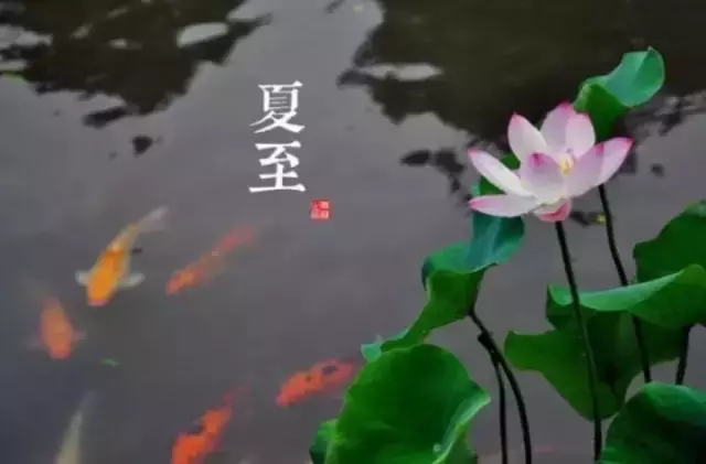 描写夏至的唯美诗句（关于夏至的优美诗句欣赏） 第9张