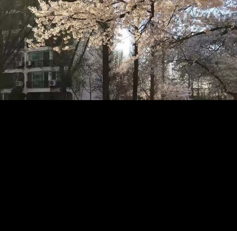 给对象的新年祝福语（适合情侣跨年的句子） 第7张