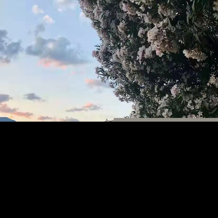给对象的新年祝福语（适合情侣跨年的句子） 第9张