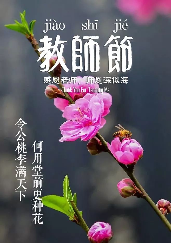 歌颂老师的古诗有哪些（古人赞美教师的名人名言） 第9张