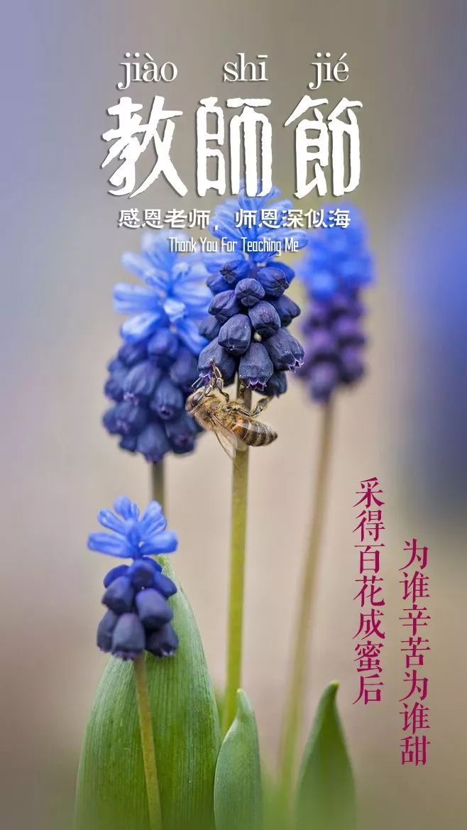 歌颂老师的古诗有哪些（古人赞美教师的名人名言） 第25张