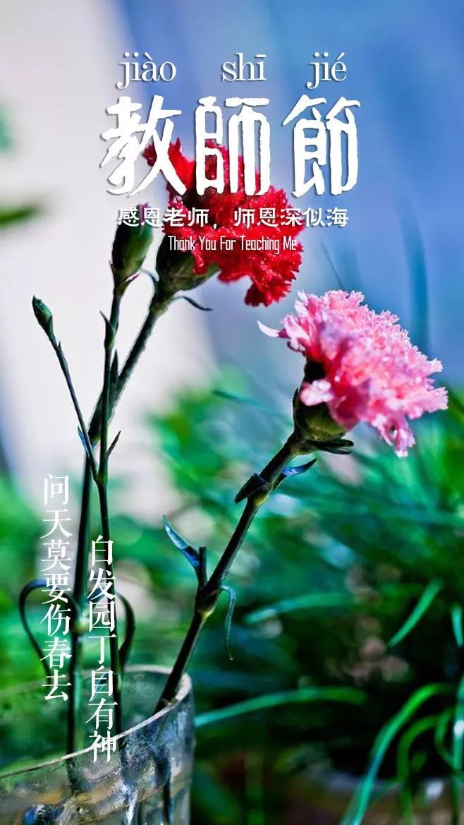 歌颂老师的古诗有哪些（古人赞美教师的名人名言） 第53张