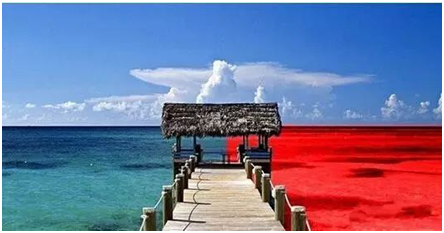 什么是蓝海和红海（一分钟让你找到商业机会） 第1张