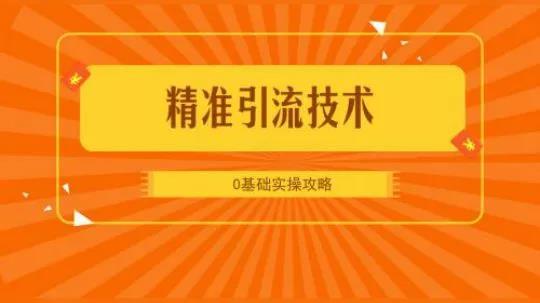 龙城老板会：互联网引流到底怎么玩，小白须知 第1张