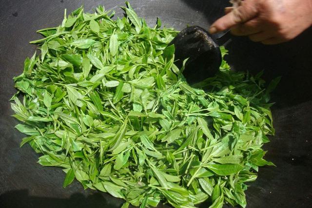 标价2万元的普通茶叶，一年卖出500万！揭秘背后的套路 第1张