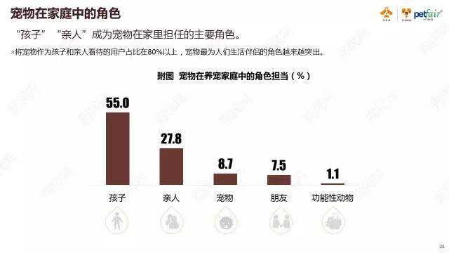 “猫经济”创业：做人的生意，还是猫的生意？ 第3张