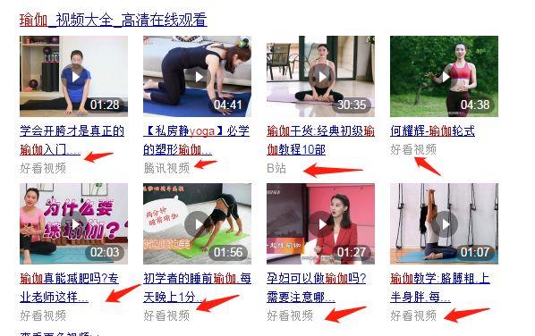 龙城老板会：细分领域项目之瑜伽社群打造，小白也学得会 第13张