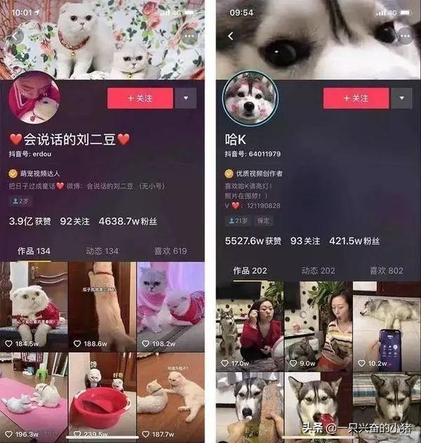 抖音主页背景图设计4种方向 第5张