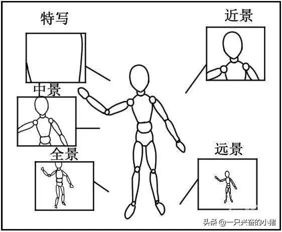 短视频脚本怎么写？这些脚本模板，直接套用就能火 第5张