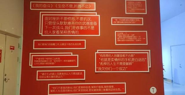 罗永浩和他的「锤粉」信徒 第21张