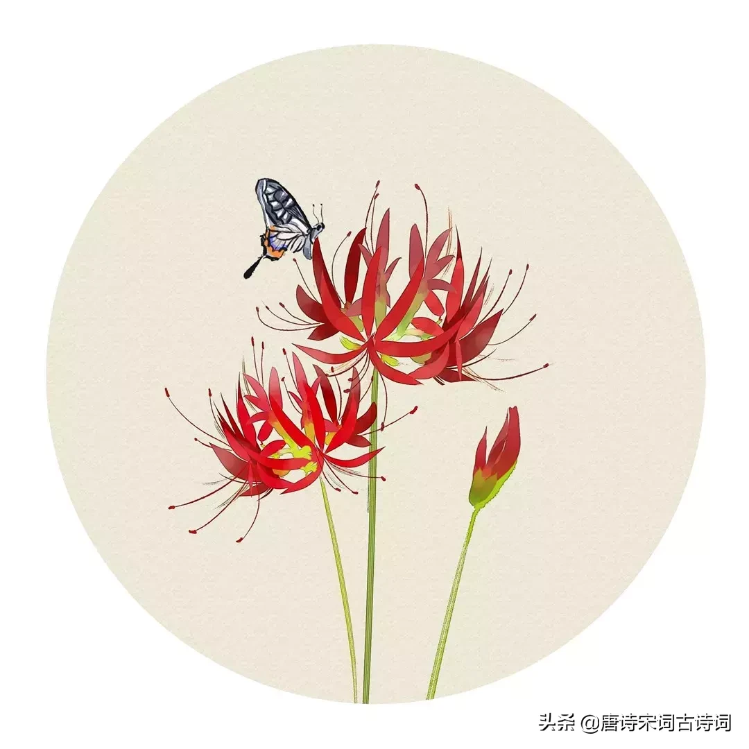 夏季的诗句有哪一些（描写夏天的诗句分享） 第17张