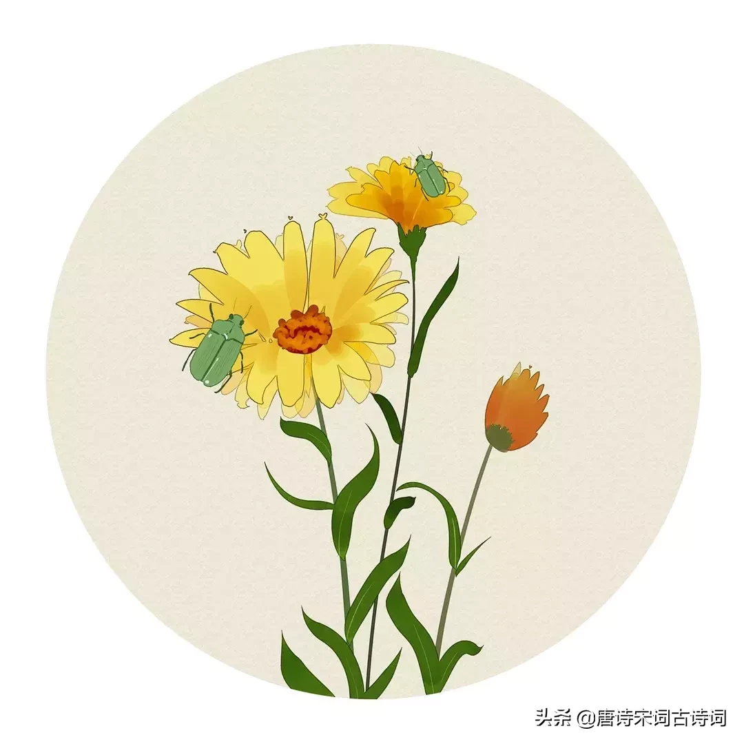 夏季的诗句有哪一些（描写夏天的诗句分享） 第3张