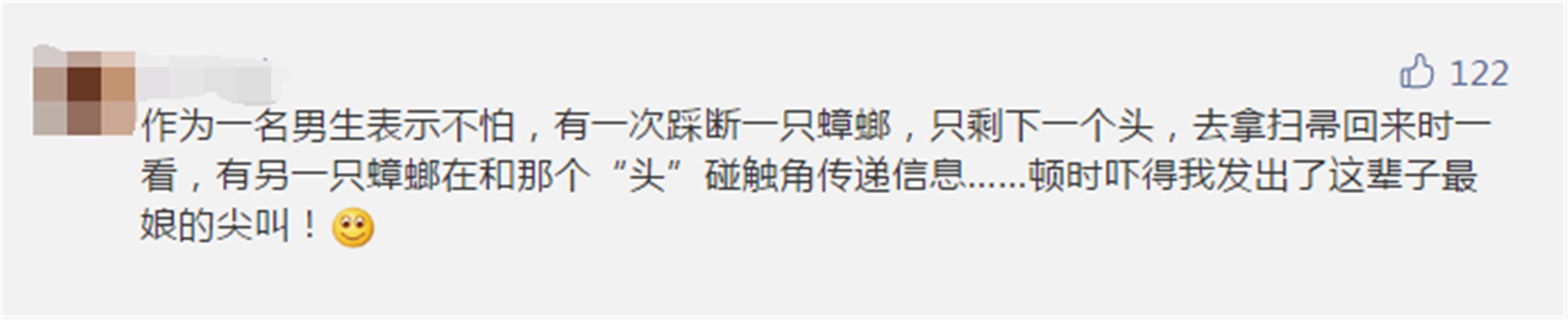 被砍了头的蟑螂，还能活多少天？ 第21张
