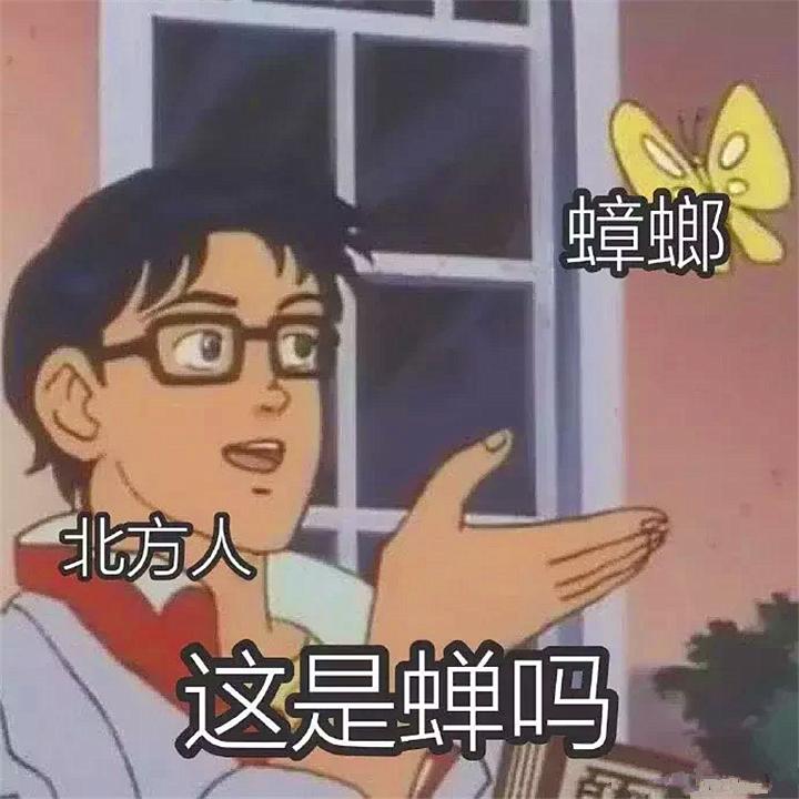 被砍了头的蟑螂，还能活多少天？ 第1张