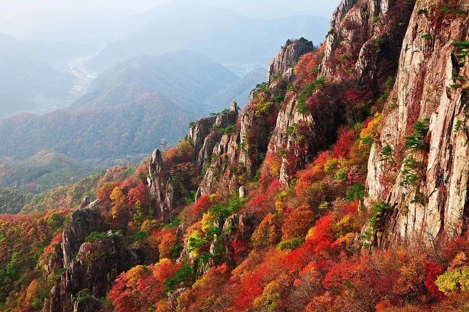 旅行的诗句有哪些（旅游古诗句大全唯美） 第63张