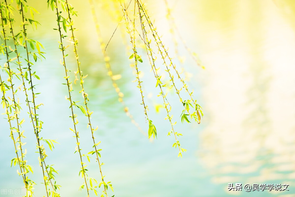 描写春天的好词好句（关于描写春天的句子摘抄） 第3张