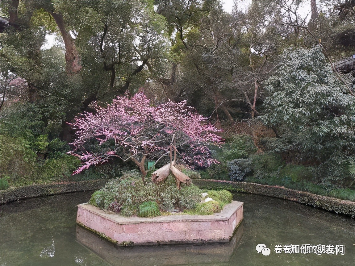 杭州诗词名句有哪些（杭州最美古诗词） 第5张