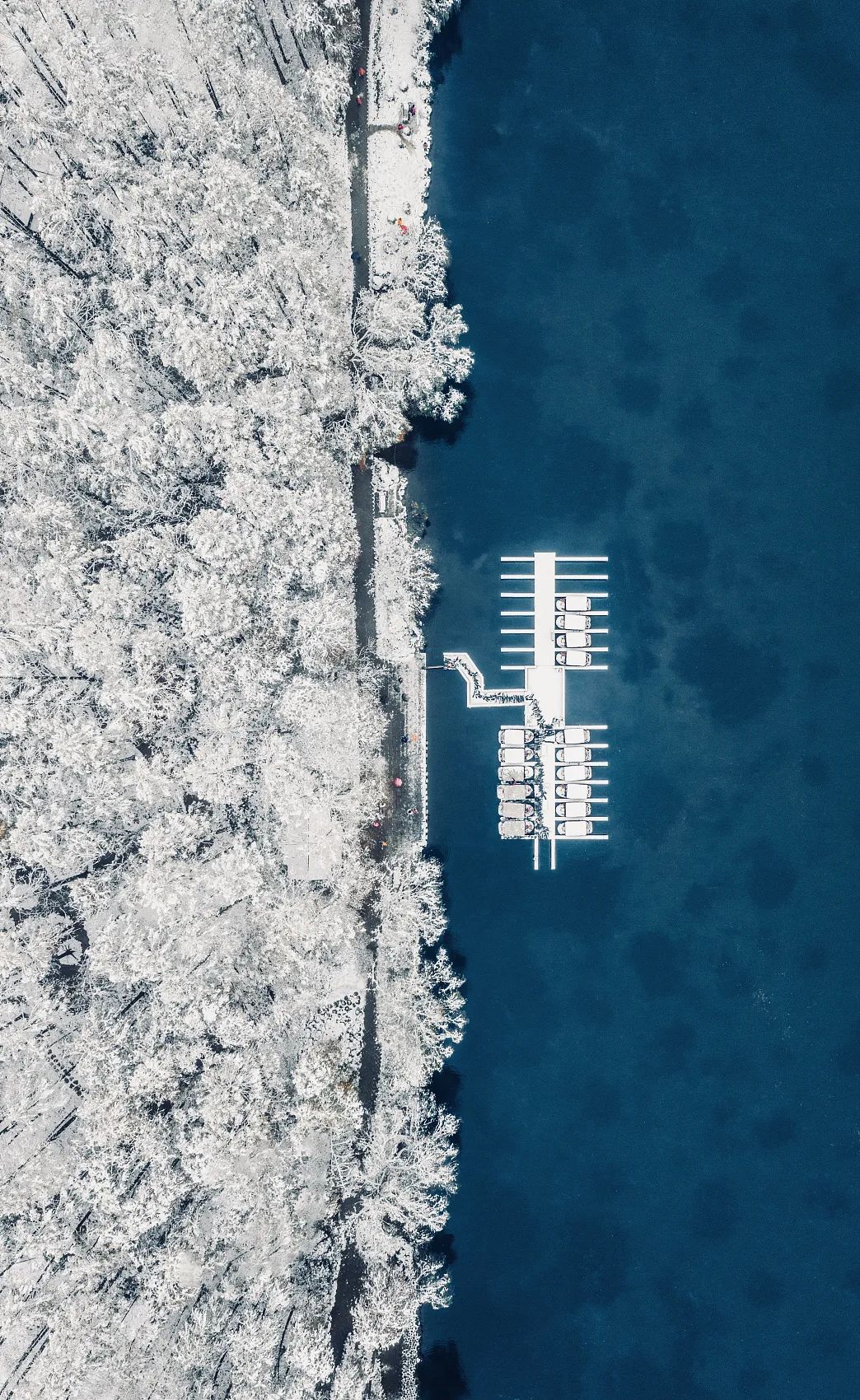 绝句僧志南古诗（苏轼绝句原文和翻译） 第9张
