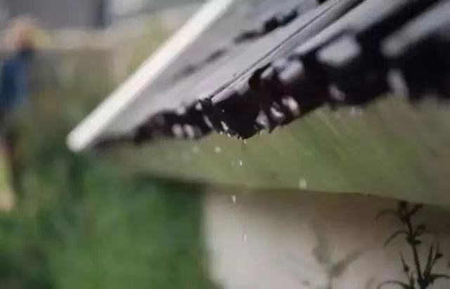 绝句僧志南古诗（苏轼绝句原文和翻译） 第31张