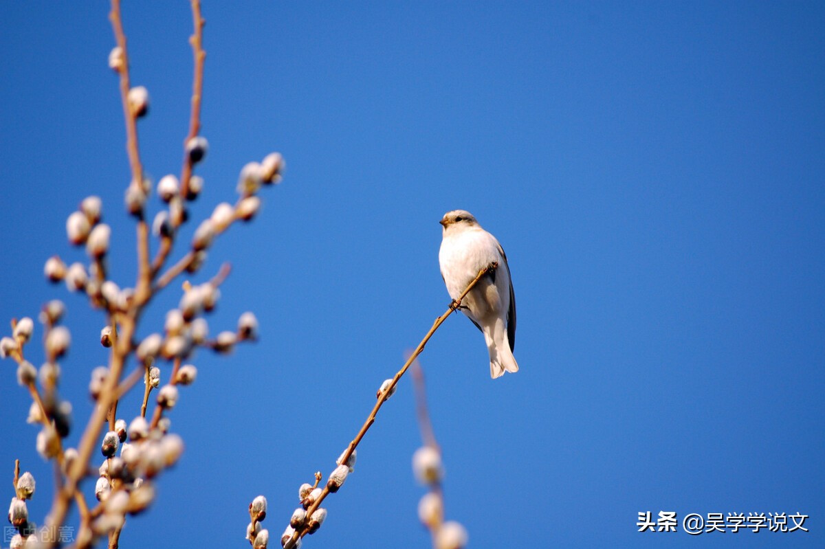 描写春天的好词好句（关于描写春天的句子摘抄） 第5张
