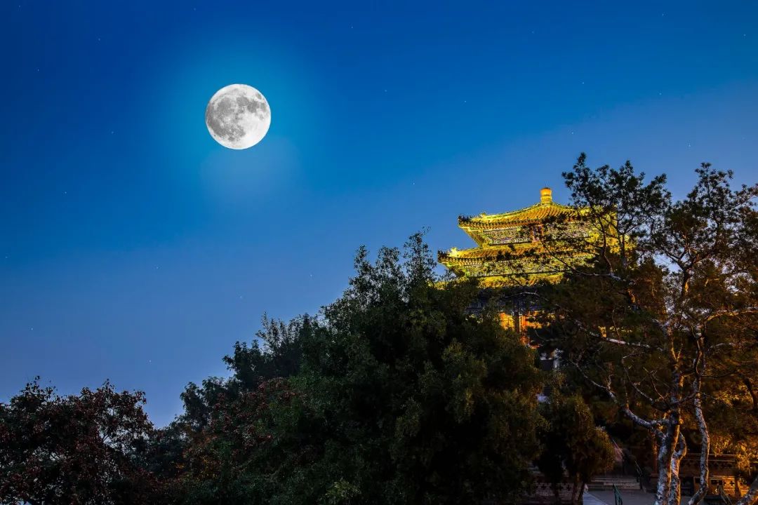 描写秋天景象有哪些（描写秋天景色的句子） 第17张
