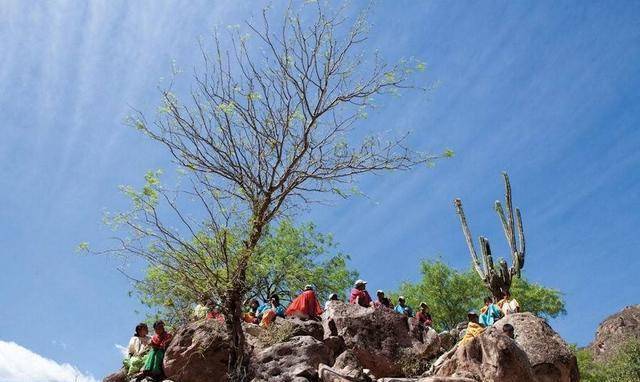 墨西哥什么语言，墨西哥通用的两种语言 第13张