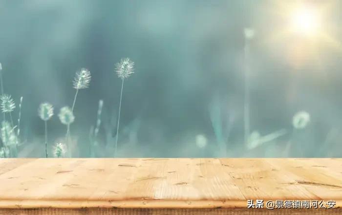 描写花的诗句有哪些（赞美花的优美诗句） 第1张