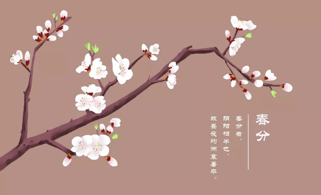 含有杏花的诗句（关于杏花的诗句唯美） 第9张