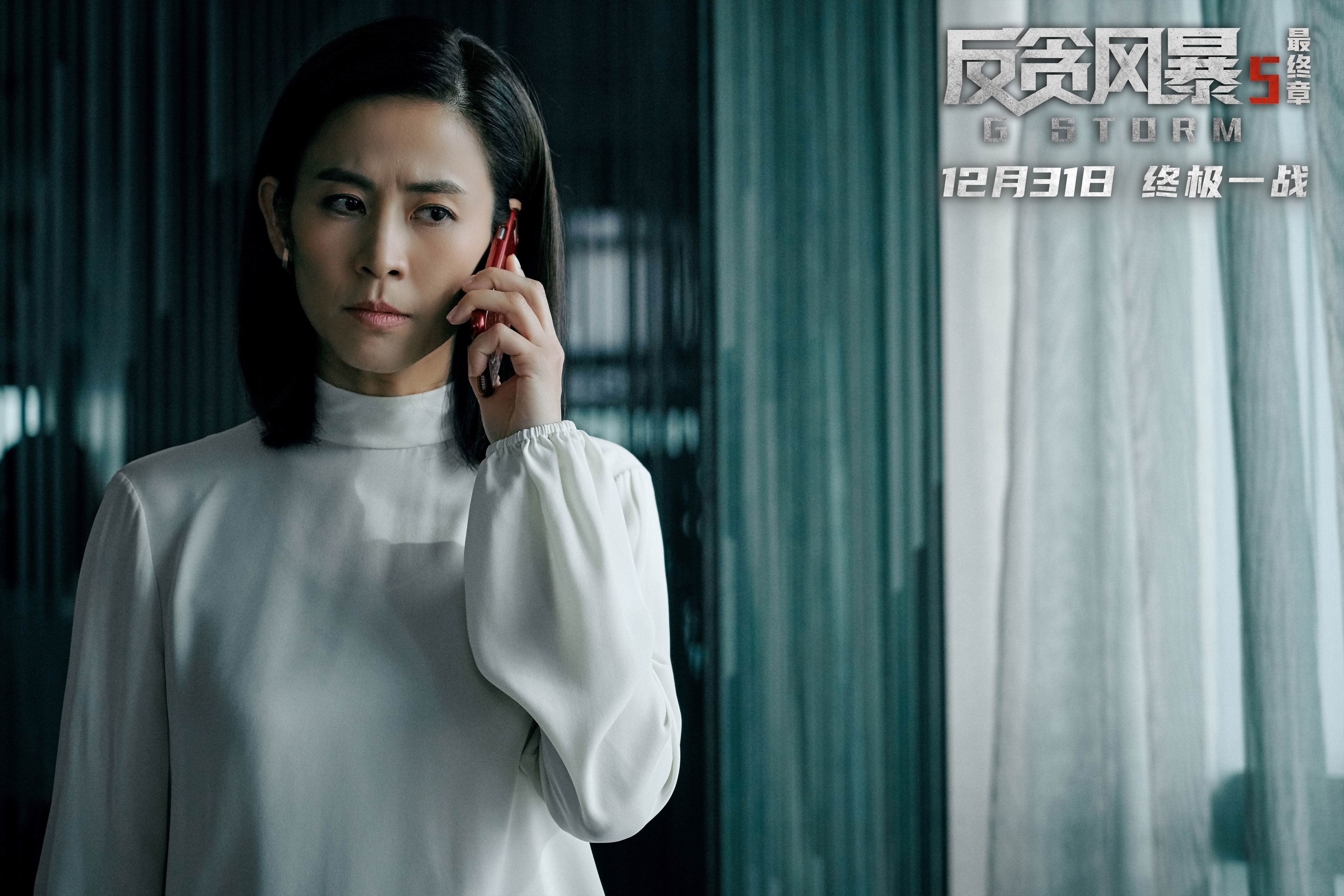《反贪风暴5：最终章》七年反贪之旅的终结，陆志廉的最后一战 第13张