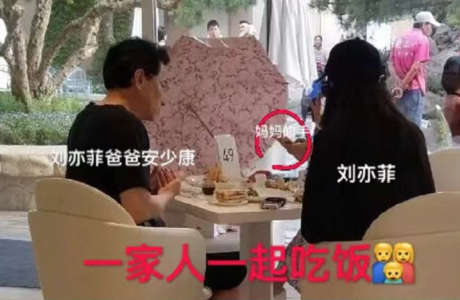 刘亦菲：梦华录前她只演过4部剧且未满18，为何能拥有百亿身家？ 第11张
